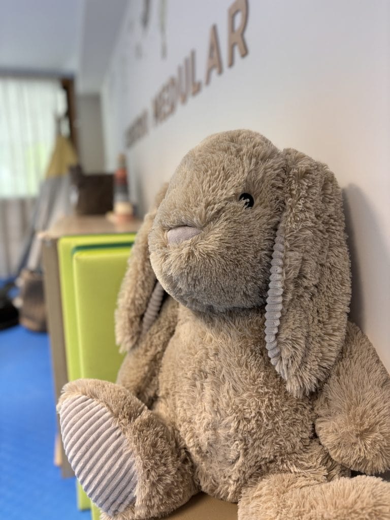 Centro Medular Decoração