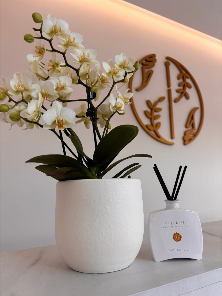 Centro Medular Matosinhos