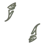 Simbolo Centro Medular